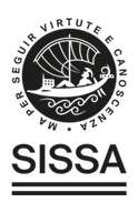 SISSA Trieste